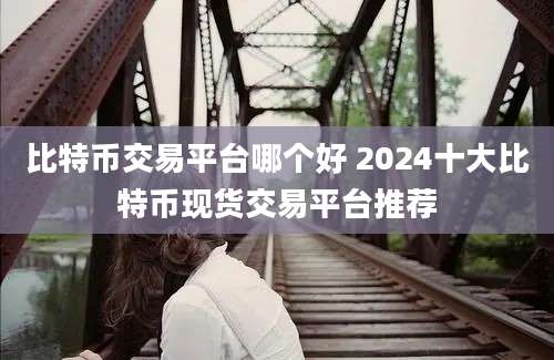 比特币交易平台哪个好 2024十大比特币现货交易平台推荐