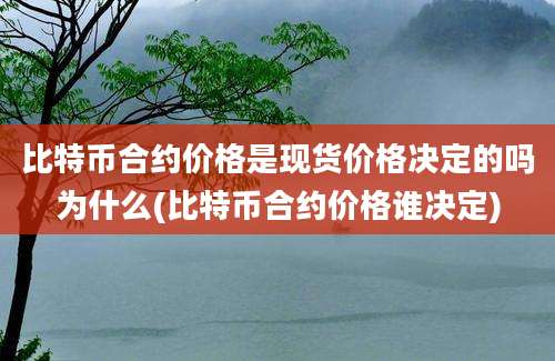 比特币合约价格是现货价格决定的吗为什么(比特币合约价格谁决定)