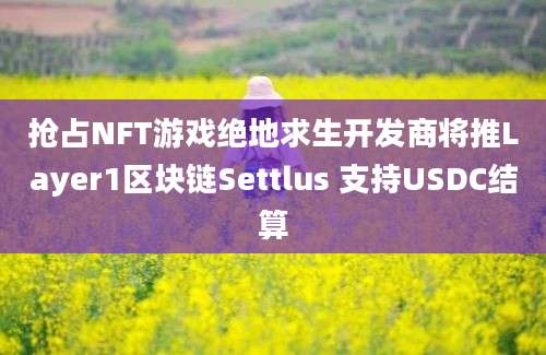 抢占NFT游戏绝地求生开发商将推Layer1区块链Settlus 支持USDC结算