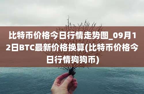 比特币价格今日行情走势图_09月12日BTC最新价格换算(比特币价格今日行情狗狗币)