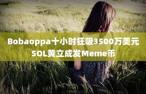 Bobaoppa十小时狂吸3500万美元SOL黄立成发Meme币