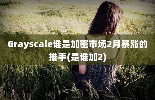 Grayscale谁是加密市场2月暴涨的推手(是谁加2)