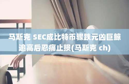 马斯克 SEC成比特币骤跌元凶巨鲸追高后忍痛止损(马斯克 ch)