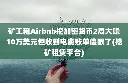 矿工租Airbnb挖加密货币2周大赚10万美元但收到电费账单傻眼了(挖矿租赁平台)