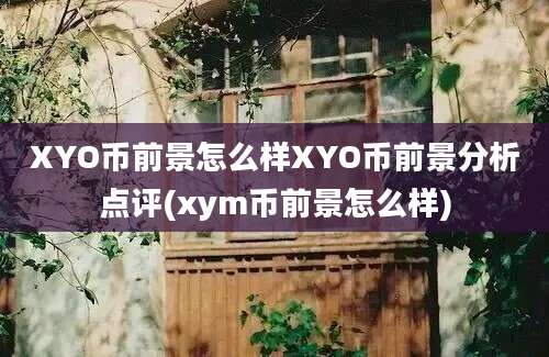 XYO币前景怎么样XYO币前景分析点评(xym币前景怎么样)