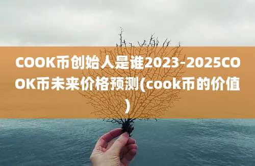 COOK币创始人是谁2023-2025COOK币未来价格预测(cook币的价值)