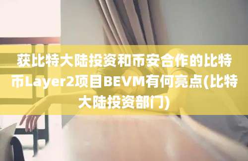 获比特大陆投资和币安合作的比特币Layer2项目BEVM有何亮点(比特大陆投资部门)