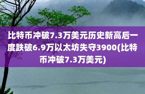 比特币冲破7.3万美元历史新高后一度跌破6.9万以太坊失守3900(比特币冲破7.3万美元)