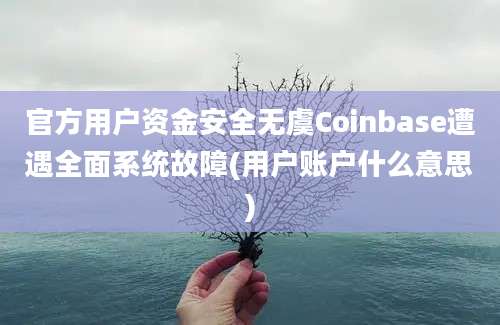 官方用户资金安全无虞Coinbase遭遇全面系统故障(用户账户什么意思)