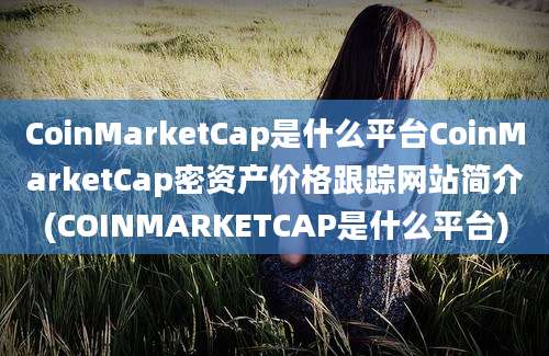 CoinMarketCap是什么平台CoinMarketCap密资产价格跟踪网站简介(COINMARKETCAP是什么平台)