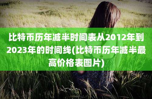 比特币历年减半时间表从2012年到2023年的时间线(比特币历年减半最高价格表图片)