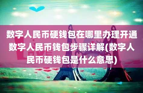 数字人民币硬钱包在哪里办理开通数字人民币钱包步骤详解(数字人民币硬钱包是什么意思)