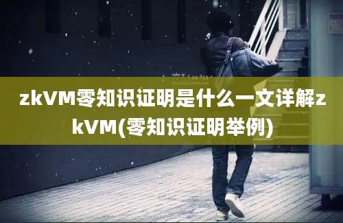 zkVM零知识证明是什么一文详解zkVM(零知识证明举例)