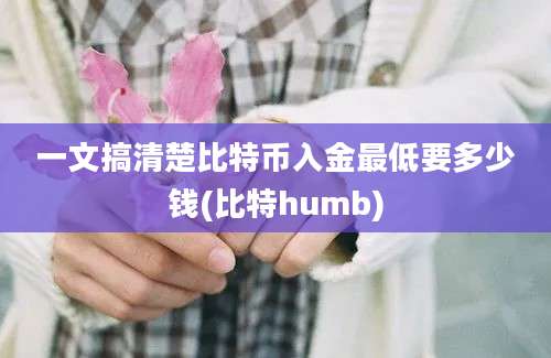 一文搞清楚比特币入金最低要多少钱(比特humb)