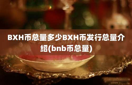 BXH币总量多少BXH币发行总量介绍(bnb币总量)