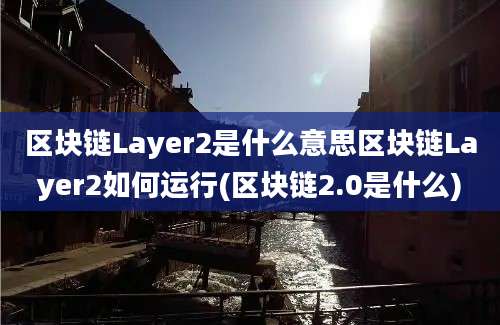 区块链Layer2是什么意思区块链Layer2如何运行(区块链2.0是什么)