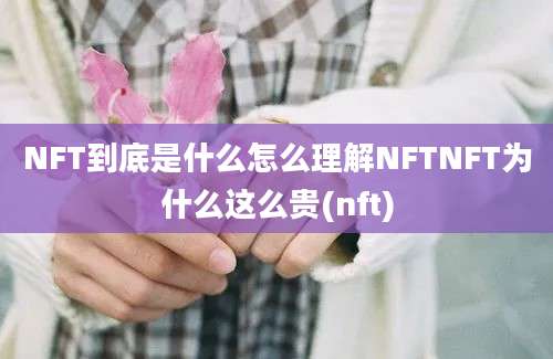 NFT到底是什么怎么理解NFTNFT为什么这么贵(nft)