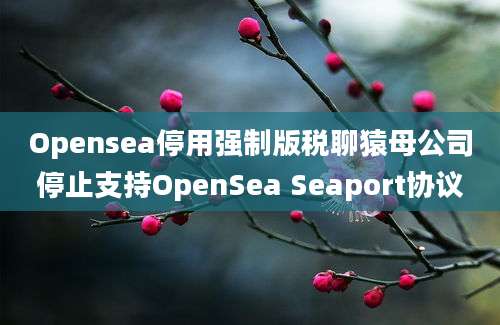 Opensea停用强制版税聊猿母公司停止支持OpenSea Seaport协议