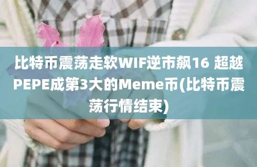 比特币震荡走软WIF逆市飙16 超越PEPE成第3大的Meme币(比特币震荡行情结束)