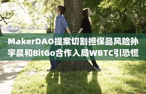 MakerDAO提案切割担保品风险孙宇晨和BitGo合作入局WBTC引恐慌