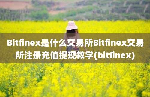 Bitfinex是什么交易所Bitfinex交易所注册充值提现教学(bitfinex)