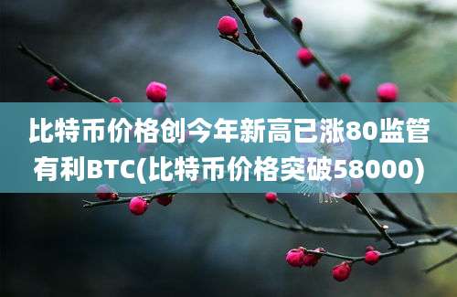 比特币价格创今年新高已涨80监管有利BTC(比特币价格突破58000)