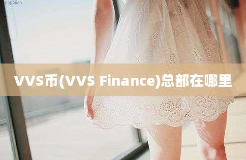 VVS币(VVS Finance)总部在哪里