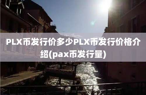 PLX币发行价多少PLX币发行价格介绍(pax币发行量)