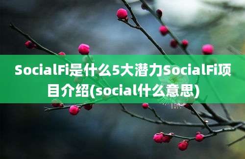 SocialFi是什么5大潜力SocialFi项目介绍(social什么意思)