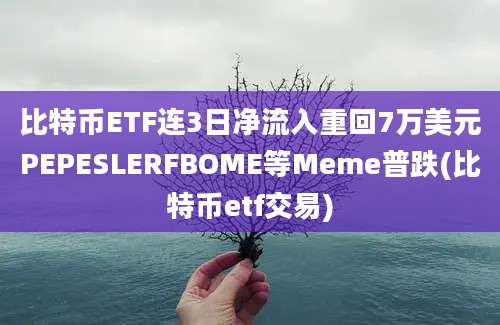 比特币ETF连3日净流入重回7万美元PEPESLERFBOME等Meme普跌(比特币etf交易)