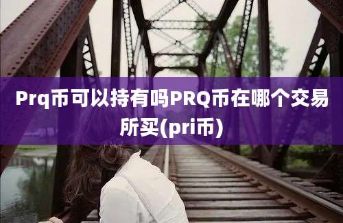 Prq币可以持有吗PRQ币在哪个交易所买(pri币)