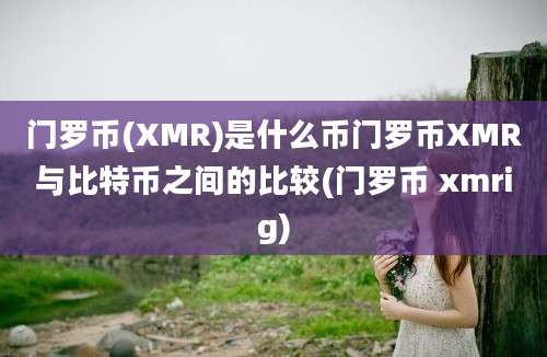 门罗币(XMR)是什么币门罗币XMR与比特币之间的比较(门罗币 xmrig)