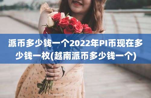 派币多少钱一个2022年PI币现在多少钱一枚(越南派币多少钱一个)