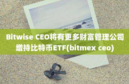 Bitwise CEO将有更多财富管理公司增持比特币ETF(bitmex ceo)