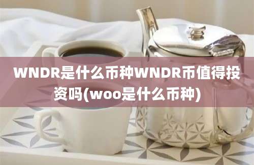 WNDR是什么币种WNDR币值得投资吗(woo是什么币种)