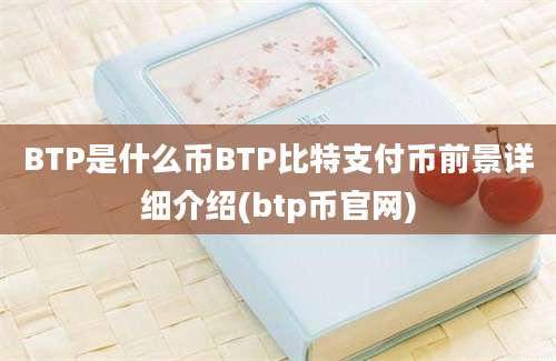 BTP是什么币BTP比特支付币前景详细介绍(btp币官网)