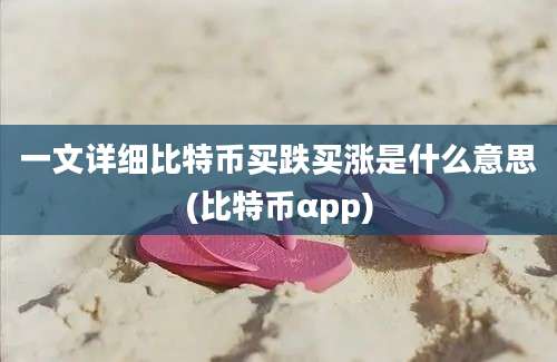 一文详细比特币买跌买涨是什么意思(比特币αpp)