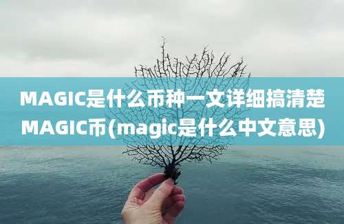 MAGIC是什么币种一文详细搞清楚MAGIC币(magic是什么中文意思)