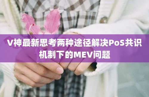 V神最新思考两种途径解决PoS共识机制下的MEV问题