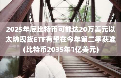 2025年底比特币可能达20万美元以太坊现货ETF有望在今年第二季获准(比特币2035年1亿美元)