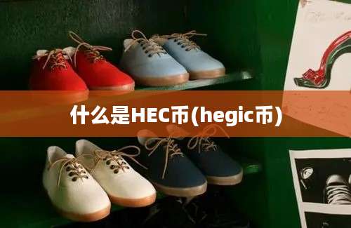 什么是HEC币(hegic币)