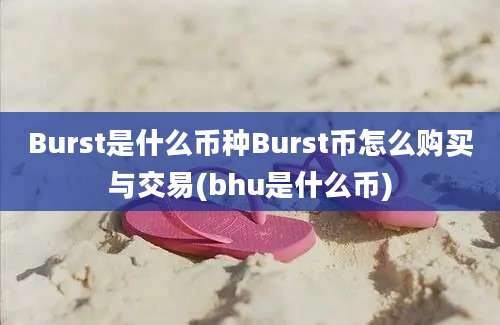 Burst是什么币种Burst币怎么购买与交易(bhu是什么币)