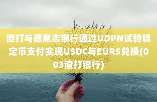 渣打与德意志银行通过UDPN试验稳定币支付实现USDC与EURS兑换(003渣打银行)