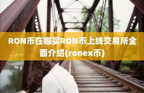 RON币在哪买RON币上线交易所全面介绍(ronex币)