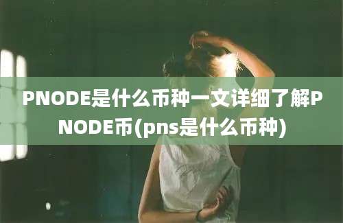 PNODE是什么币种一文详细了解PNODE币(pns是什么币种)