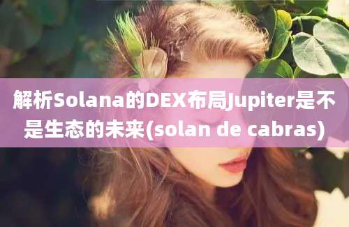 解析Solana的DEX布局Jupiter是不是生态的未来(solan de cabras)