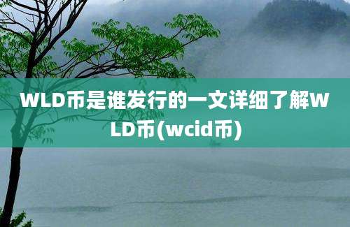 WLD币是谁发行的一文详细了解WLD币(wcid币)