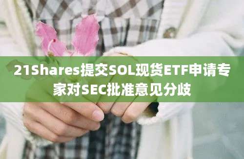 21Shares提交SOL现货ETF申请专家对SEC批准意见分歧