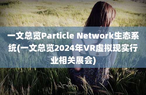 一文总览Particle Network生态系统(一文总览2024年VR虚拟现实行业相关展会)