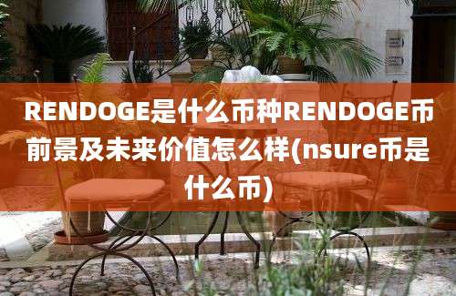 RENDOGE是什么币种RENDOGE币前景及未来价值怎么样(nsure币是什么币)